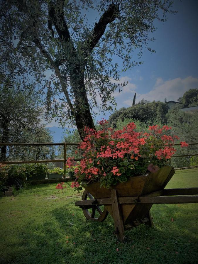 Appartamento Camelia Malcesine Exterior foto